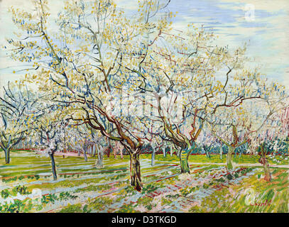 Vincent van Gogh, le verger blanc 1888 Huile sur toile. Van Gogh Museum, Amsterdam, Pays-Bas. Banque D'Images