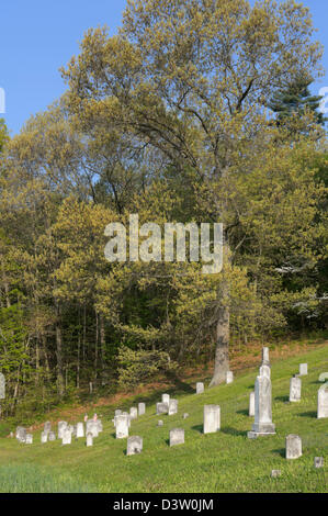 Cimetière à la lisière de bois d'été avec des pierres tombales anciennes dans la lumière du matin, paisible paysage rural dans la région de New York, PA, USA. Banque D'Images