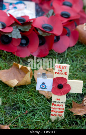 Le coquelicot rouge sur l'affichage pour commémorer les sacrifices consentis par les soldats qui s'et sont morts pendant les deux guerres mondiales. Banque D'Images