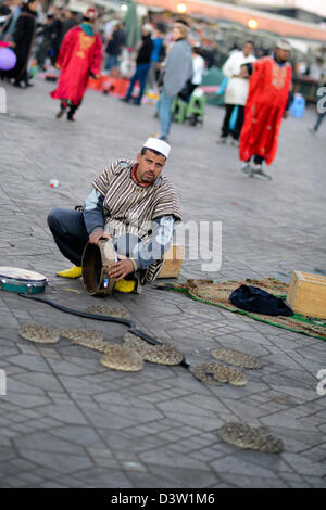 Charmeur de serpent sur place Jamma el Fna avec cobras recroquevillée sur le sol, Marrakech, Maroc Afrique du Nord Banque D'Images