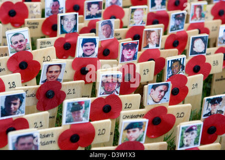 Le coquelicot rouge sur l'affichage pour commémorer les sacrifices consentis par les soldats qui s'et sont morts pendant les deux guerres mondiales. Banque D'Images