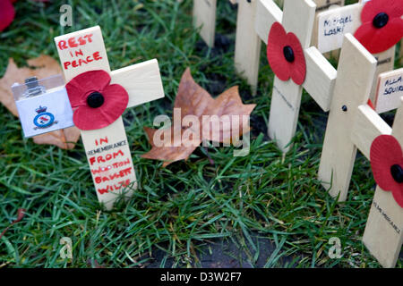 Le coquelicot rouge sur l'affichage pour commémorer les sacrifices consentis par les soldats qui s'et sont morts pendant les deux guerres mondiales. Banque D'Images