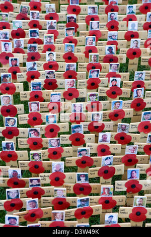 Le coquelicot rouge sur l'affichage pour commémorer les sacrifices consentis par les soldats qui s'et sont morts pendant les deux guerres mondiales. Banque D'Images