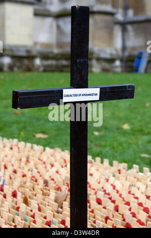 Le coquelicot rouge sur l'affichage pour commémorer les sacrifices consentis par les soldats qui s'et sont morts pendant les deux guerres mondiales. Banque D'Images