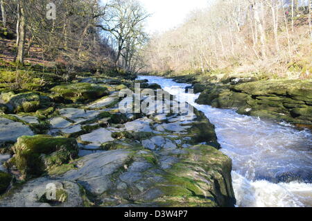 La rivière Wharfe s'écoule dans la SRCFA une étroite gorge pierre meulière sur le Dales Way Sentier Wharfedale Yorkshire Banque D'Images