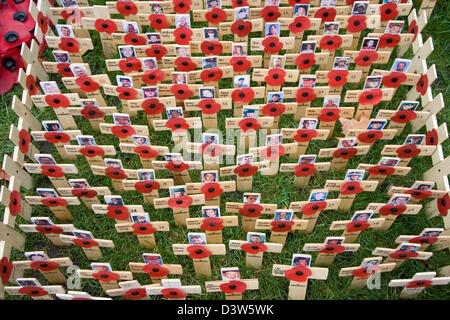 Le coquelicot rouge sur l'affichage pour commémorer les sacrifices consentis par les soldats qui s'et sont morts pendant les deux guerres mondiales. Banque D'Images