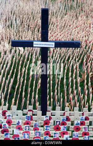 Le coquelicot rouge sur l'affichage pour commémorer les sacrifices consentis par les soldats qui s'et sont morts pendant les deux guerres mondiales. Banque D'Images