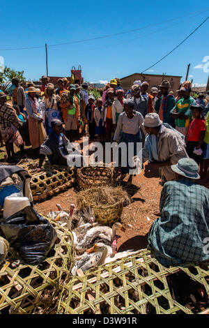 Marché traditionnel coloré Highland Madagascar Banque D'Images