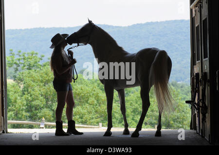 Femme et cheval découpé en grange ouverte porte de l'écurie, wearing cowboy hat, shorts, et bottes Banque D'Images