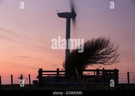 Une éolienne de 2 MW, la production d'électricité renouvelable dans les motifs de l'Eastman factory à la périphérie de Workington, Banque D'Images