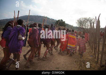 Un masaï partie de mariage est en cours avec les jeunes hommes et les jeunes filles danser autour du village. Banque D'Images