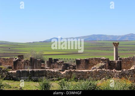Les impressionnantes ruines de Volubilis - UNESCO World Heritage Site en 1997. Banque D'Images