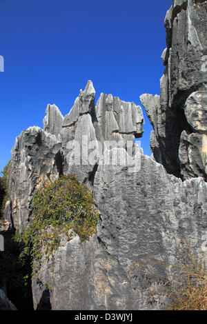 La Chine, le Yunnan, Shilin, la forêt de pierre, Banque D'Images