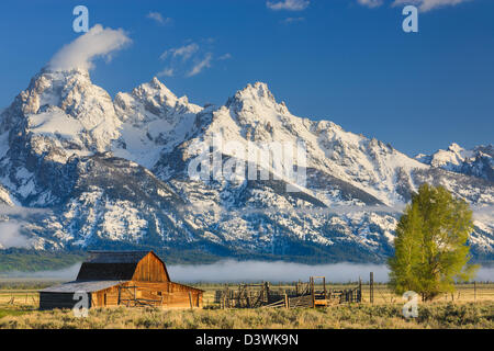 Mormon Row est une ligne de complexes de homestead le long de la route près d'Jackson-Moran l'angle sud-est de Grand Teton NP Banque D'Images