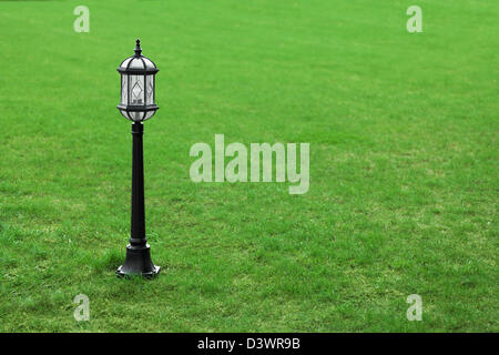 Un metal black street lamp on Green grass plot Banque D'Images