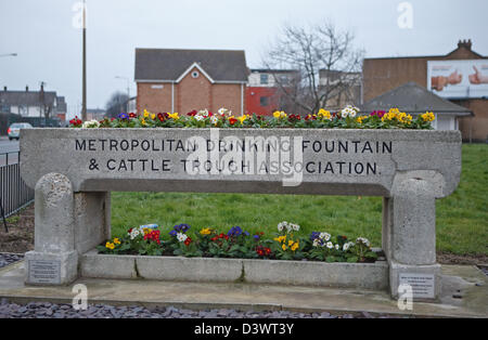 Metropolitan Fontaine à boire & Cattle Association auge abreuvoir à Tilbury Essex. Qui est maintenant remplie de fleurs. Banque D'Images