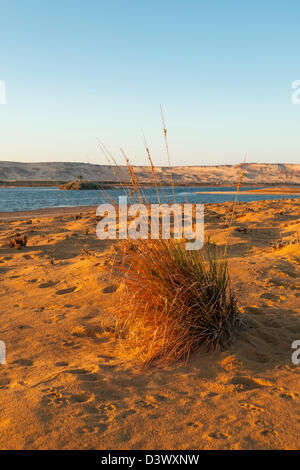 Lac près de Marun Al Bahariya Oasis, désert de l'Ouest, l'Egypte Banque D'Images