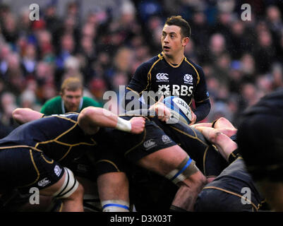 Edinburgh, Royaume-Uni. 24 février 2013. Greg Laidlaw de RBS 6 Nations - Ecosse - l'Ecosse contre l'Irlande - stade Murrayfield - Édimbourg - 24/02/13 - Photo Simon Bellis/Sportimage/Alamy Live News Banque D'Images