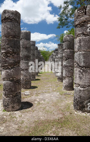 Groupe des 1000 colonnes à Chichen Itza, Mexique Banque D'Images