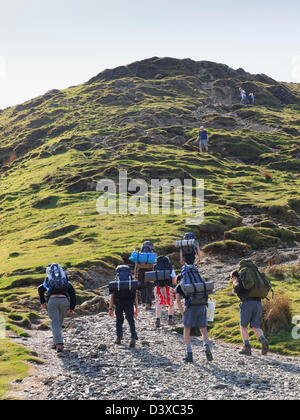 Groupe de jeunes gens sur le système d'attribution du DofE en montée avec des sacs à dos de randonnée sur chemin d'Catbells Mountain Lake District en Angleterre Royaume-uni Grande-Bretagne Banque D'Images