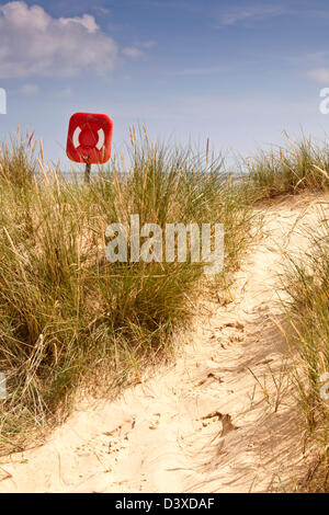 Anneau de vie sur la plage Banque D'Images