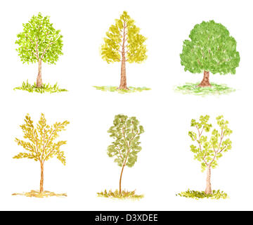 Ensemble de divers arbres, peint à l'Aquarelle Banque D'Images