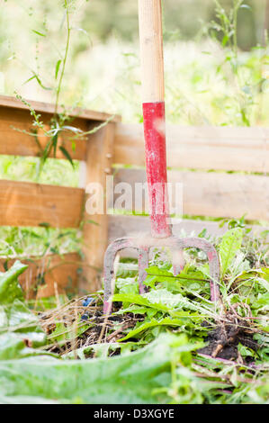 Le recyclage des plantes dans un bac à compost de jardin Banque D'Images