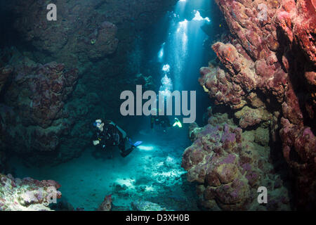 La plongée autonome à l'intérieur de grotte, Shaab Claudio, Red Sea, Egypt Banque D'Images