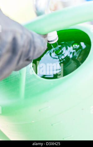 L'équipement de jardinage, arrosoir plastique vert dans un jardin à l'été Banque D'Images