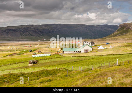 Vue sur muli villgae dans contexte kollafjordur fjord - vestfjords, Islande. Banque D'Images