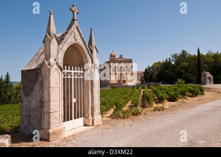 Notre Dame de grâce et de vignoble, Gignac, Hérault, Languedoc Roussillon, France Banque D'Images