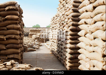 Des piles de sacs de blé dans un entrepôt, Anaj, Mandi, Sohna Gurgaon, Haryana, Inde Banque D'Images