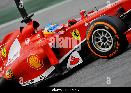 Fernando Alonso (ESP), Ferrari F138 au cours d'essais de Formule Un sur le circuit de Catalunya près de Barcelone, Espagne d'hippodromes en Février Banque D'Images