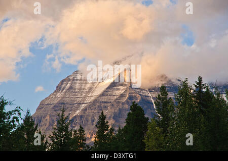 Le mont Robson au coucher du soleil, Canadian Rockies Banque D'Images