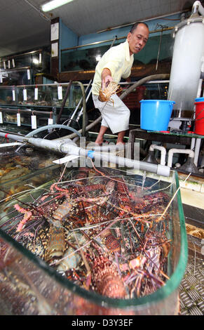 Hong Kong, Chine, l'homme jette un homard dans un bassin d'eau Banque D'Images