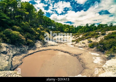 Piscine de boue thermale au wai-O-Tapu, Rotorua, île du Nord, en Nouvelle-Zélande. Banque D'Images