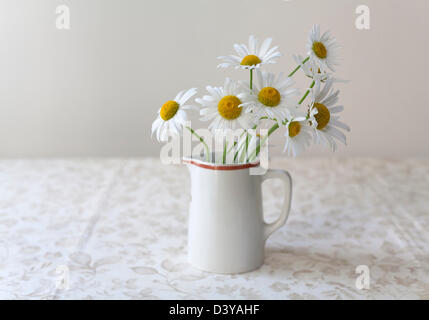 Les marguerites blanches avec centre jaune dans un petit pot sur une nappe à motifs légèrement Banque D'Images