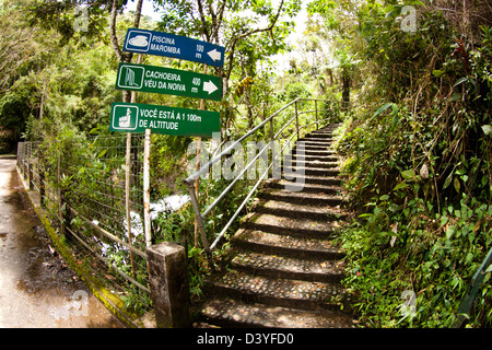 Vue à l'intérieur du parc national d'Itatiaia (Parque Nacional do Itatiaia) au Brésil. Le premier parc national au Brésil. Banque D'Images