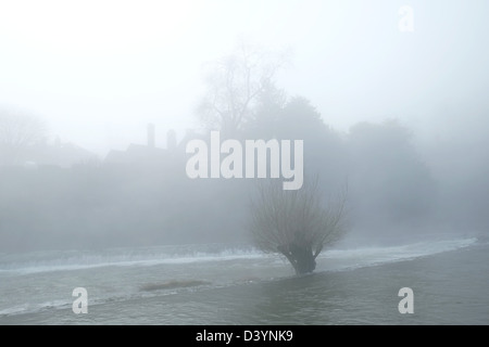 Hiver brumeux matin du pont de la rivière Teme ci-dessous Ludford, Ludlow, Shropshire, Angleterre, Grande-Bretagne Banque D'Images