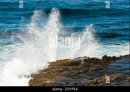 Vague de l'océan Pacifique se briser sur les rochers, créant Surf Blanc et pulvériser à La Jolla Cove à San Diego California USA Banque D'Images