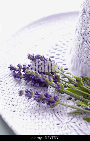 Chapeau et fleurs de lavande Banque D'Images