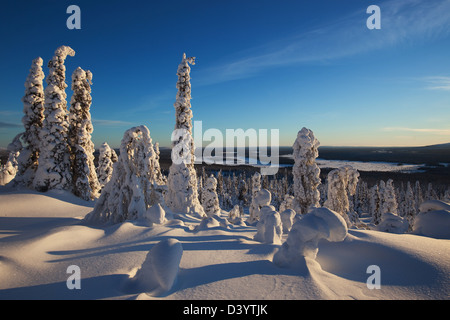 En Laponie Yllas, paysage, en Finlande. Banque D'Images