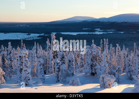 En Laponie Yllas, paysage, en Finlande. Banque D'Images