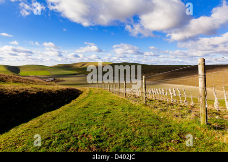 Une large piste gazonnée et une clôture en fil barbelé situé au milieu des collines vertes sur l'Pewsey Downs à Wiltshire, Royaume-Uni Banque D'Images