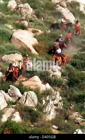 Cowboys en descendant la colline après Roundup et de bétail, de bétail, le Roundup, Roundup cowboy, côte ouest, vache, de zone de transport de bétail Banque D'Images