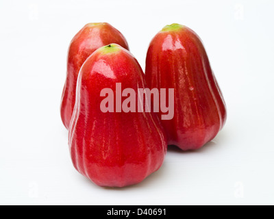 Syzygium jambos Rose, pommes, isolé sur fond blanc Banque D'Images