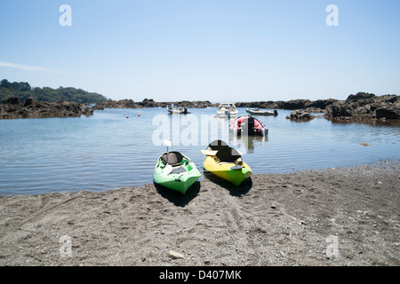 Des kayaks à bord de l'eau, à Whanarua Bay, sur la côte est, dans la Nouvelle-Zélande. Banque D'Images