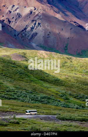 Navette bus visiteurs sur l'accès limité Denali Park Road, Denali National Park, Alaska, USA Banque D'Images