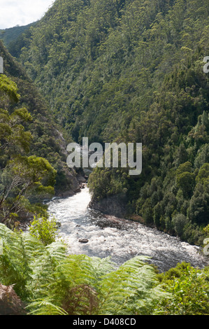 La Gorge de la rivière King, à côté de l'Abt ou West Coast Wilderness Railway sur la côte ouest de la Tasmanie Banque D'Images