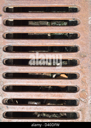 Grille de métal rouillé en fond de vidange Banque D'Images